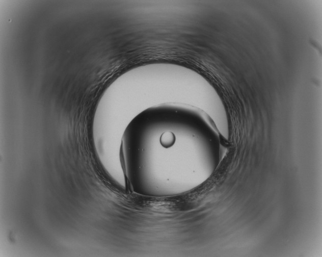 X0000097950268200804141011