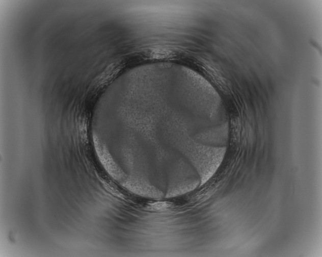 X0000097950269200804141011