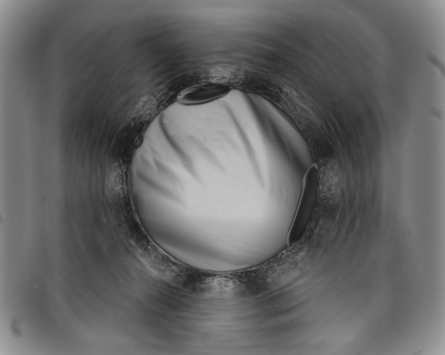 X0000097950272200804141011