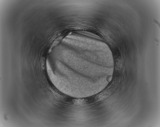 X0000097950273200804141011