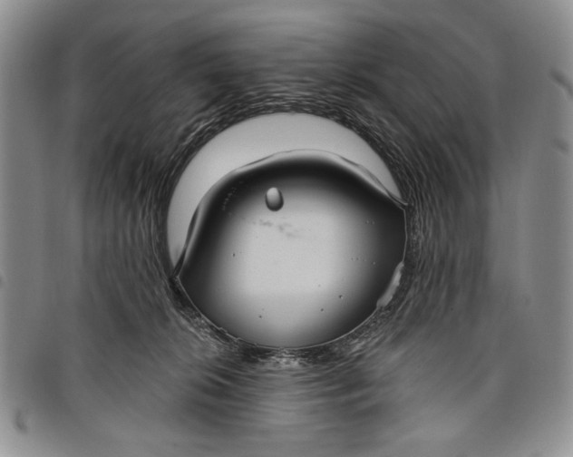 X0000097950276200804141011