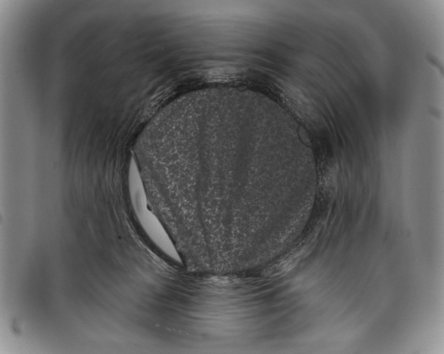 X0000097950277200804141011