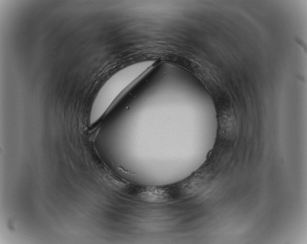X0000097950278200804141011