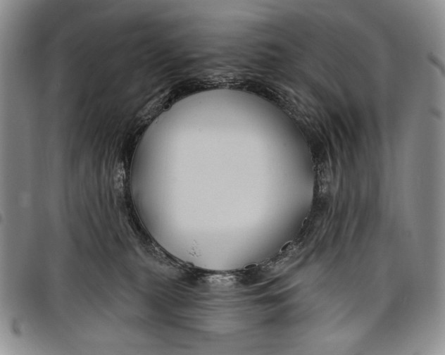 X0000097950279200804141011