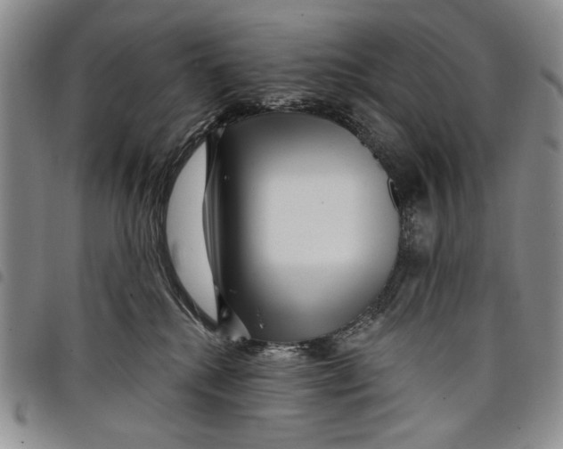 X0000097950280200804141011