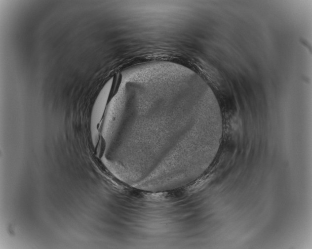 X0000097950281200804141011