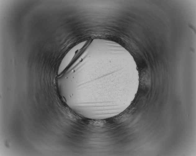 X0000097950282200804141011