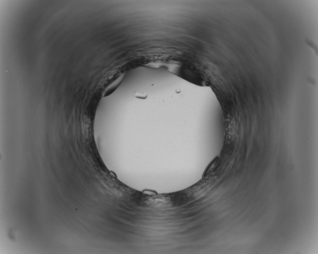 X0000097950283200804141011