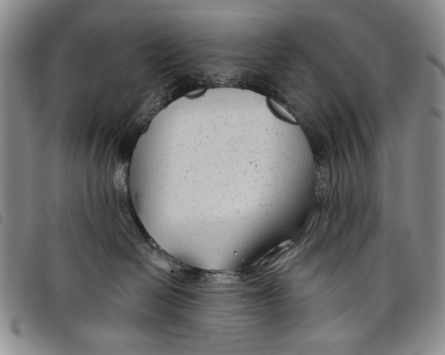 X0000097950286200804141011