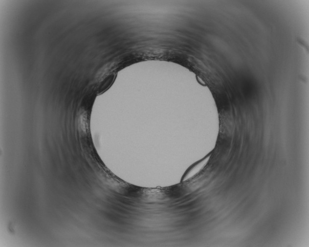 X0000097950287200804141011