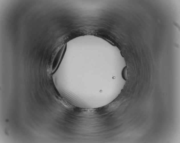 X0000097950288200804141011