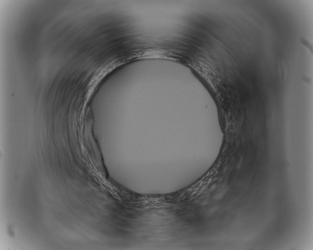 X0000097950289200804141010