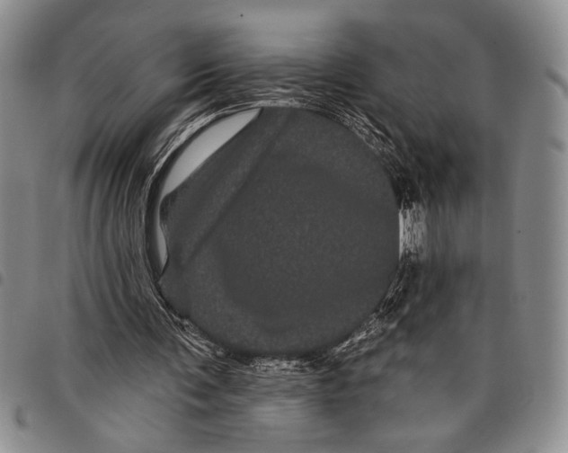 X0000097950291200804141010
