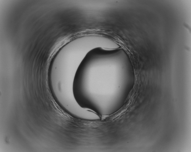 X0000097950293200804141010