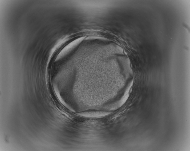 X0000097950294200804141010