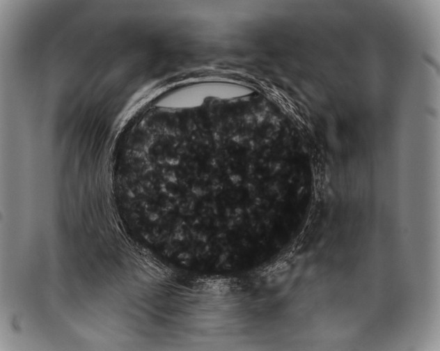 X0000097950295200804141010