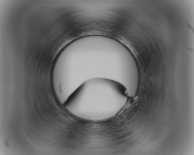 X0000097950297200804141010