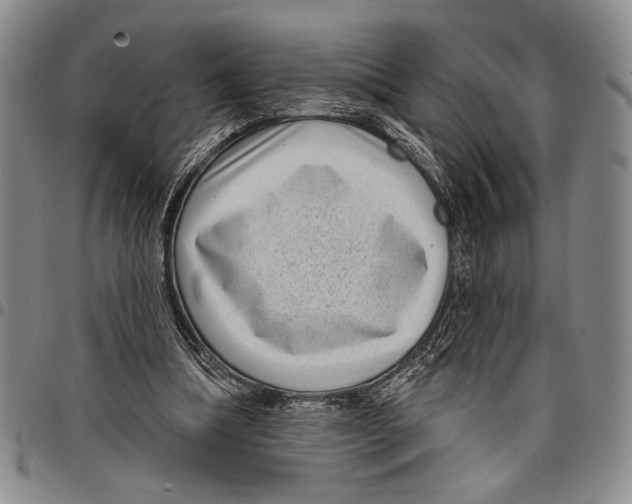 X0000097950298200804141010