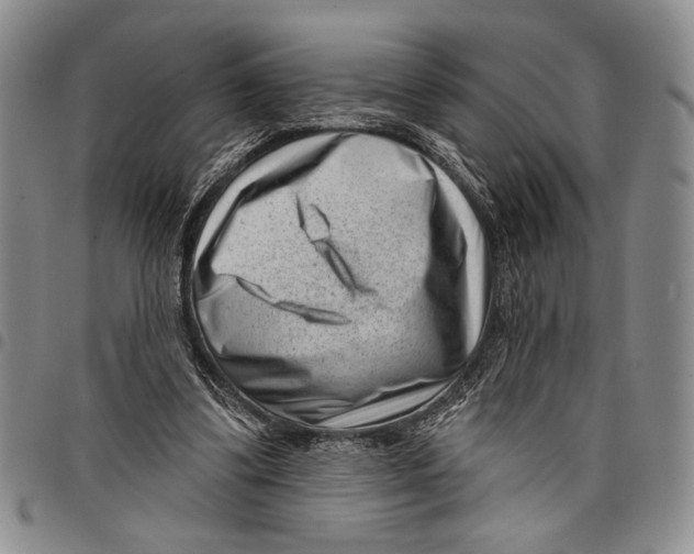 X0000097950299200804141010