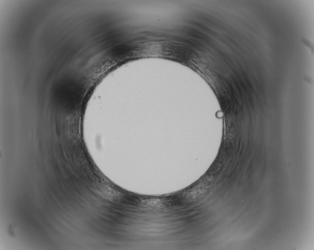 X0000097950301200804141010