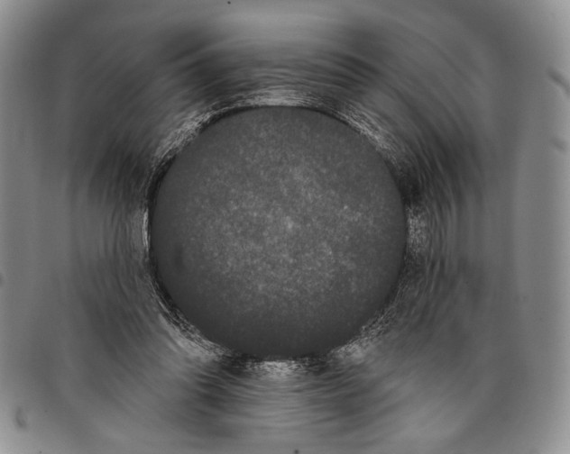 X0000097950302200804141010