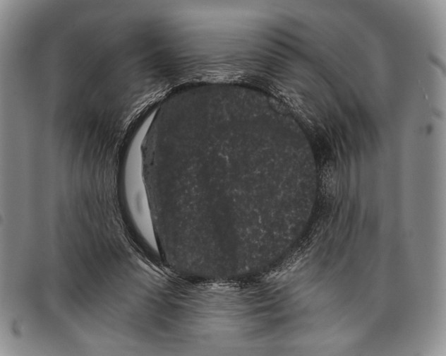 X0000097950303200804141010