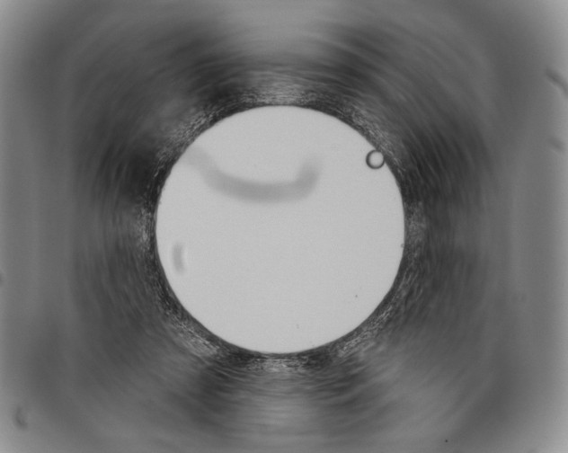 X0000097950305200804141010