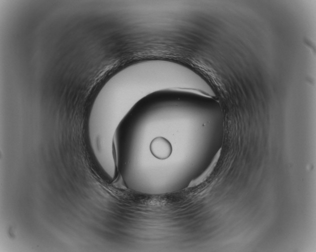 X0000097950308200804141010
