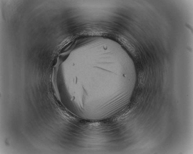 X0000097950309200804141010