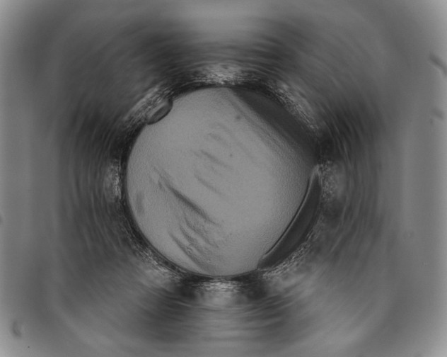 X0000097950313200804141010