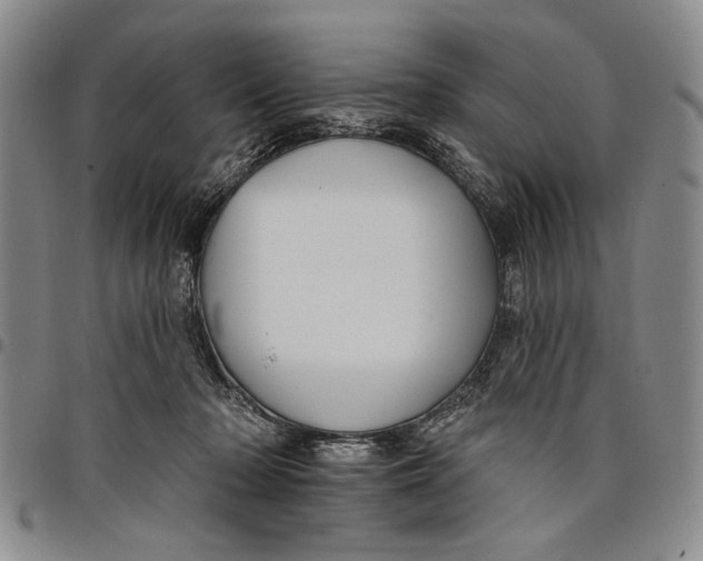 X0000097950318200804141010