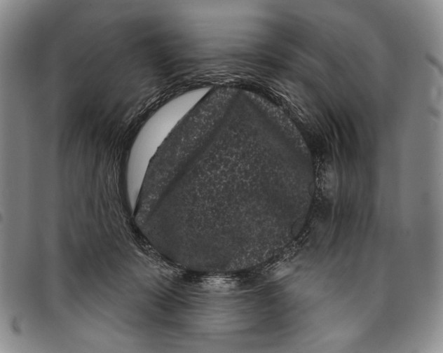 X0000097950319200804141010