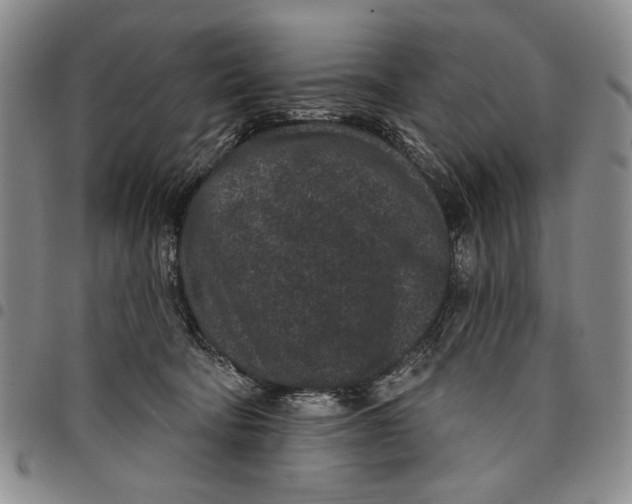 X0000097950322200804141010