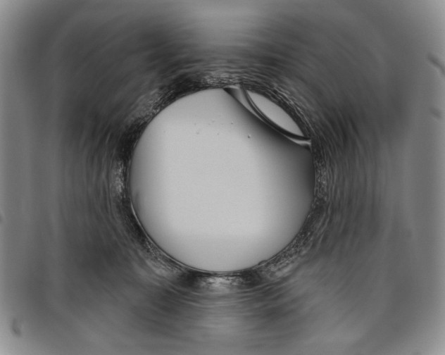 X0000097950323200804141010