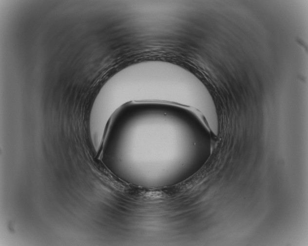 X0000097950324200804141010