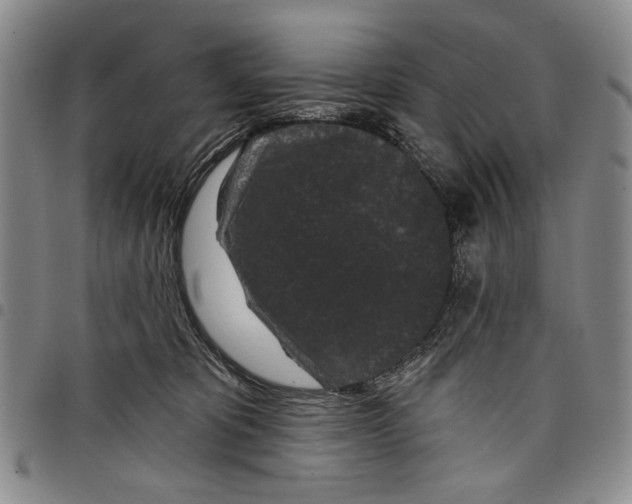 X0000097950325200804141010