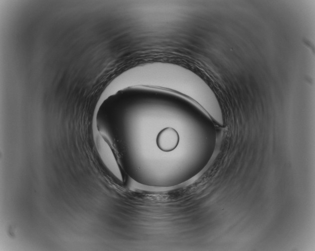 X0000097950328200804141010