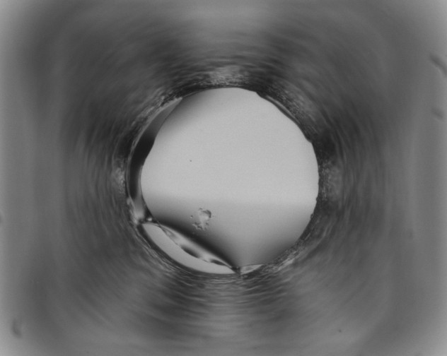X0000097950329200804141010