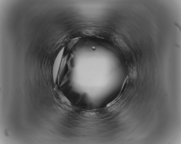 X0000097950332200804141010