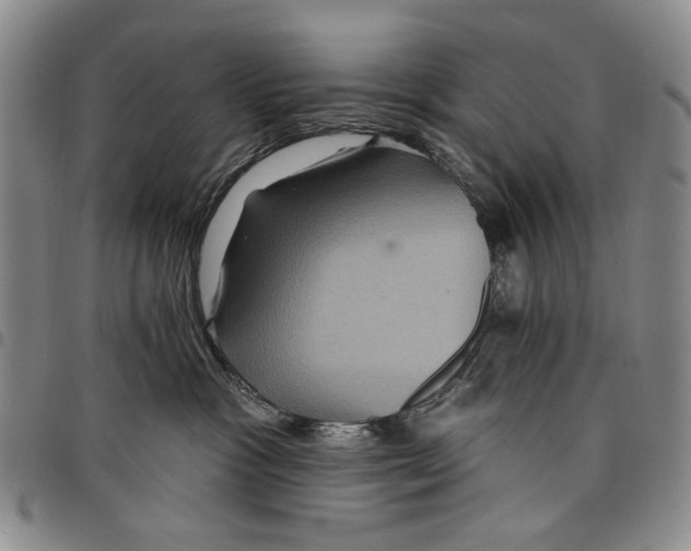 X0000097950333200804141010