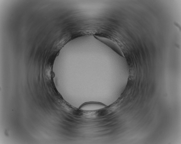 X0000097950334200804141010