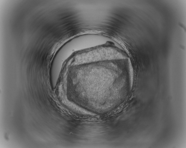 X0000097950337200804141009
