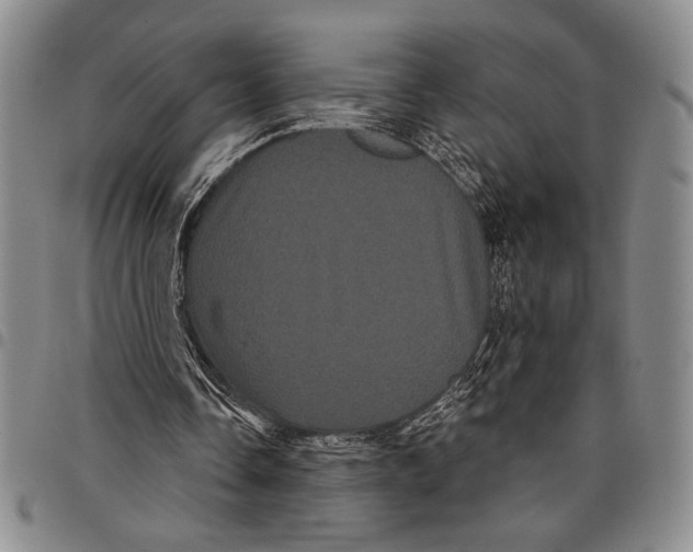 X0000097950338200804141009