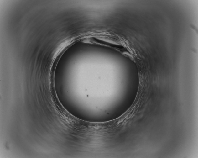 X0000097950340200804141009