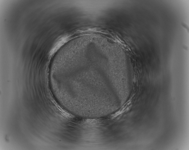 X0000097950341200804141009