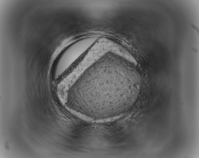 X0000097950343200804141009