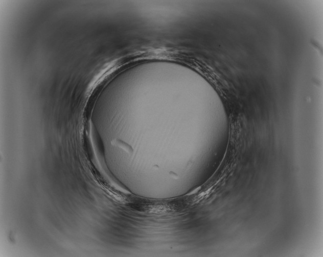 X0000097950344200804141009