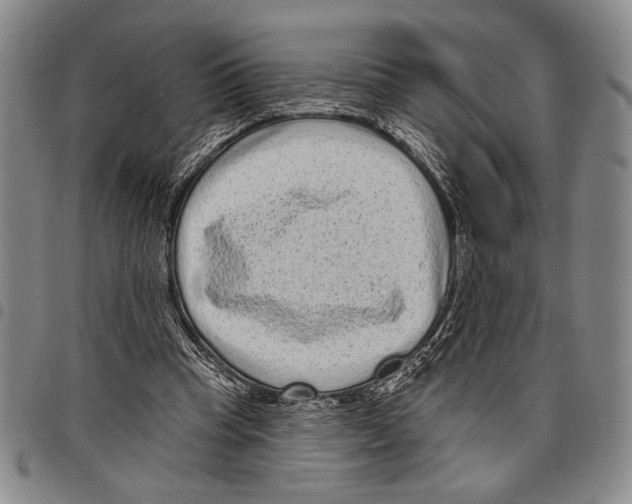 X0000097950345200804141009