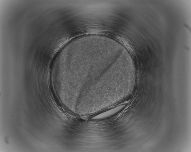 X0000097950346200804141009