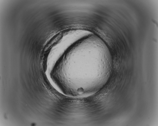 X0000097950347200804141009